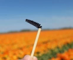 Natural Shaper Brow Soap Met Bamboo Brush – Browsoap - Wenkbrauwgel Met Langdurig Effect – Veilig En Natuurlijk – Brow Shaping - Wenkbrauw Soap -Beauty Verkoop 1200x984 1